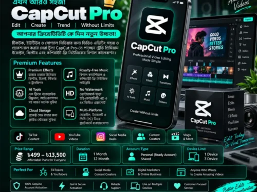 CapCut Pro